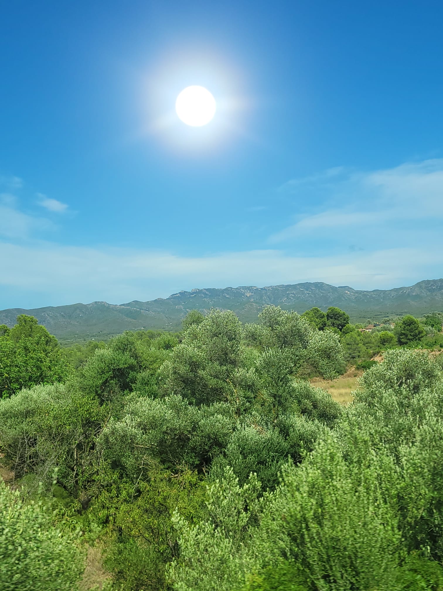 WhatsApp Image 2026-03-23 at 8.48.22 PM (7).jpeg